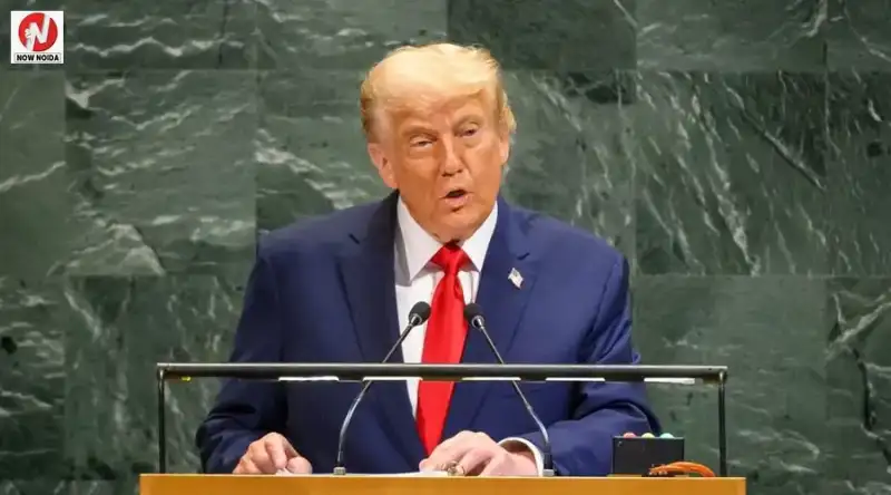 top-news