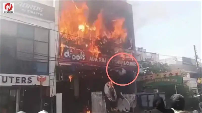 top-news