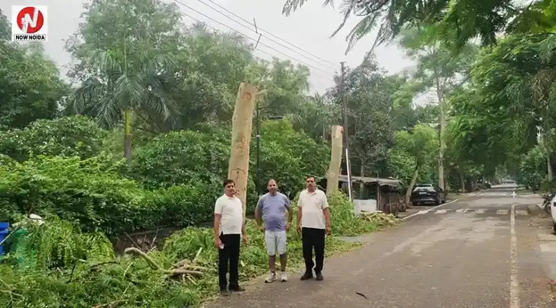top-news