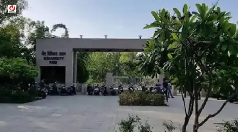 top-news